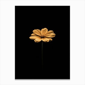 Single Yellow Flower 37 Canvas Print