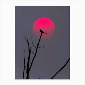 Silhouette Of A Bird Canvas Print