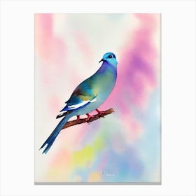 Dove Watercolour Bird Canvas Print
