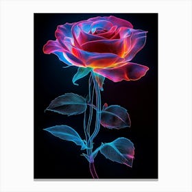 Florescent Rose Canvas Print