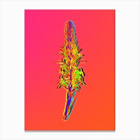 Neon Pitcairnia Latifolia Botanical in Hot Pink and Electric Blue n.0187 Canvas Print