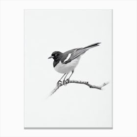 Magpie B&W Pencil Drawing 1 Bird Canvas Print