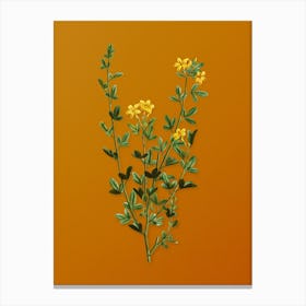 Vintage Yellow Jasmine Flowers Botanical on Sunset Orange n.0160 Canvas Print