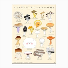 Edible Mushrooms Canvas Print