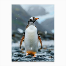 King Penguin Canvas Print