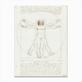 Vitruvian Man, Leonardo Da Vinci Canvas Print