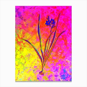 Gladiolus Lineatus Botanical in Acid Neon Pink Green and Blue Canvas Print