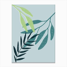 Eucalyptus Leaves Canvas Print