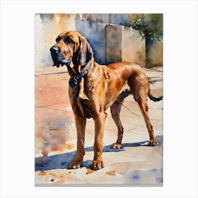 Bloodhounds One Canvas Print