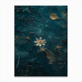 Flower In Water 3 Canvas Print