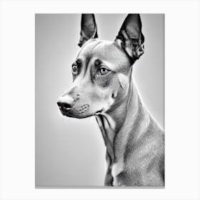 German Pinscher B&W Pencil dog Canvas Print