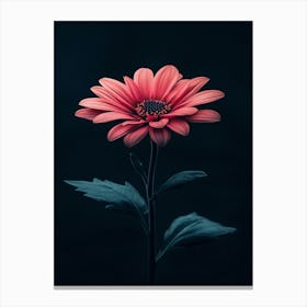 Pink Gerbera Flower 3 Canvas Print