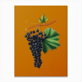 Vintage Berzemina Grape Botanical on Sunset Orange n.0574 Canvas Print