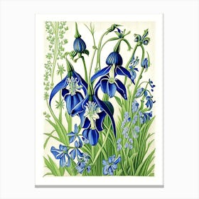Bluebell 3 Floral Botanical Vintage Poster Flower Canvas Print