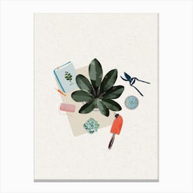 Succulent Plant 5 Canvas Print