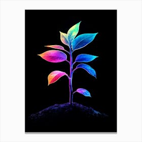 Rainbow Plant On Black Background Canvas Print