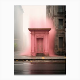 Pink Door 7 Canvas Print