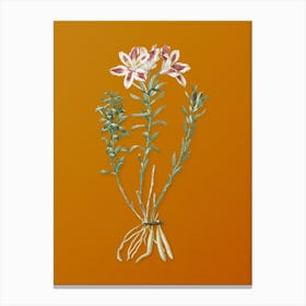 Vintage Lily of the Incas Botanical on Sunset Orange n.0729 Canvas Print