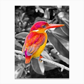 Kingfisher Canvas Print