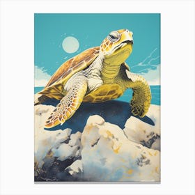 Sea Turtle On A Rock With Blue Sky Canvas Print