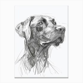 Chesapeake Bay Retriever Dog Charcoal Line 3 Canvas Print