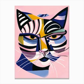 Abstract Cat 9 Canvas Print