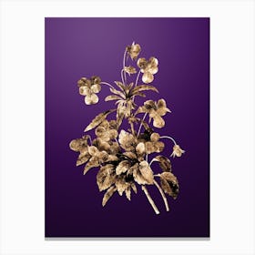 Gold Botanical Johnny Jump Up on Royal Purple n.4735 Canvas Print