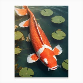 Koi Fish Painting (10) Canvas Print