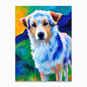 Icelandic Sheepdog Fauvist Style dog Canvas Print