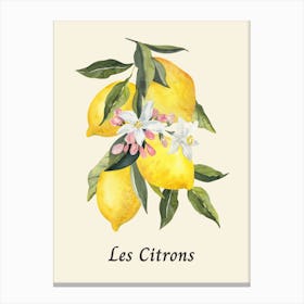 Simple Lemon Wall Art, Kitchen Poster Canvas Print