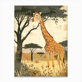 Giraffe Under The Acacia Tree 1 Canvas Print