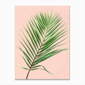Palm Leaf On A Pink Background Canvas Print