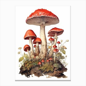 Storybook Mushrooms 1 Canvas Print