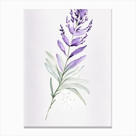 Lavender Leaf Minimalist Watercolour 1 Canvas Print