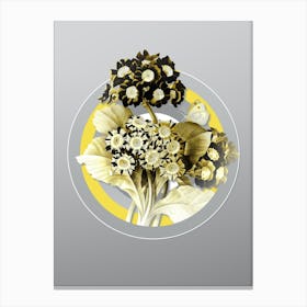 Botanical Antique Flower in Yellow and Gray Gradient n.022 Canvas Print