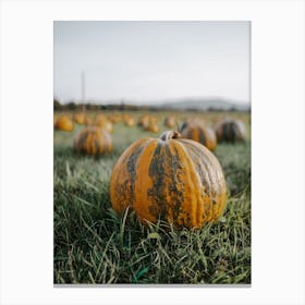 Almost Ripe Pumpkin Canvas Print