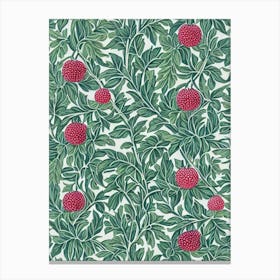 Marionberry Vintage Botanical Fruit Canvas Print