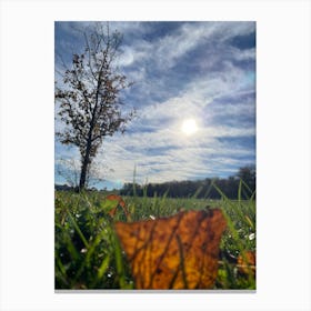 Autumn Leaves In The Grass Canvas Print