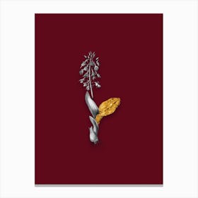 Vintage Brown Widelip Orchid Black and White Gold Leaf Floral Art on Burgundy Red n.0068 Canvas Print
