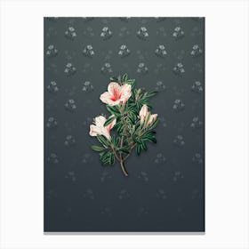 Vintage Variegated Chinese Azalea Botanical on Slate Gray Pattern Canvas Print
