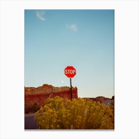 New Mexico Road Trip on Film Canvas Print