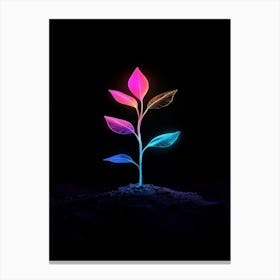 Plant In The Dark 2 Canvas Print