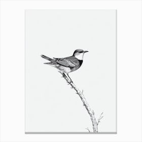 Cuckoo B&W Pencil Drawing 1 Bird Canvas Print