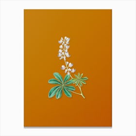 Vintage Half Shrubby Lupine Flower Botanical on Sunset Orange n.0261 Canvas Print