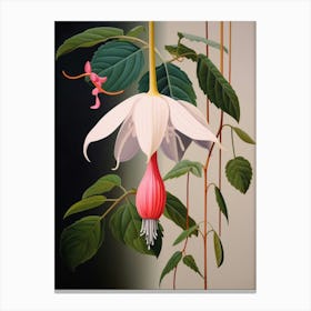 Flower Illustration Fuchsia Canvas Print