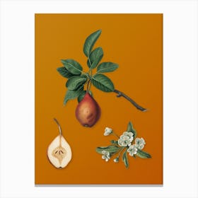 Vintage Pear Botanical on Sunset Orange n.0392 Canvas Print