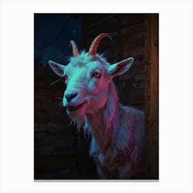 Goat At Night Canvas Print