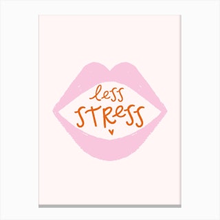 Less Stress Canvas Print