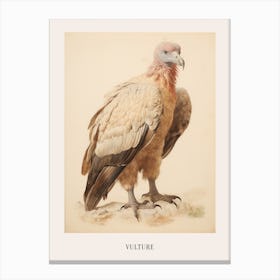 Vintage Bird Drawing Vulture 3 Poster Canvas Print
