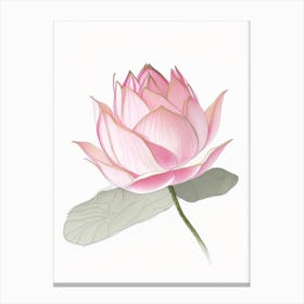 Pink Lotus Pencil Illustration 3 Canvas Print